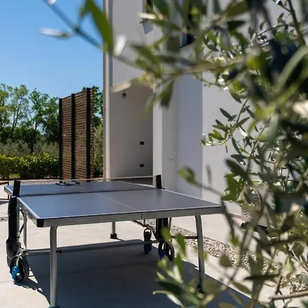 Karbula By Guide * ポレッチ